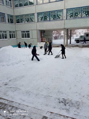 Трудовой десант 8В класса